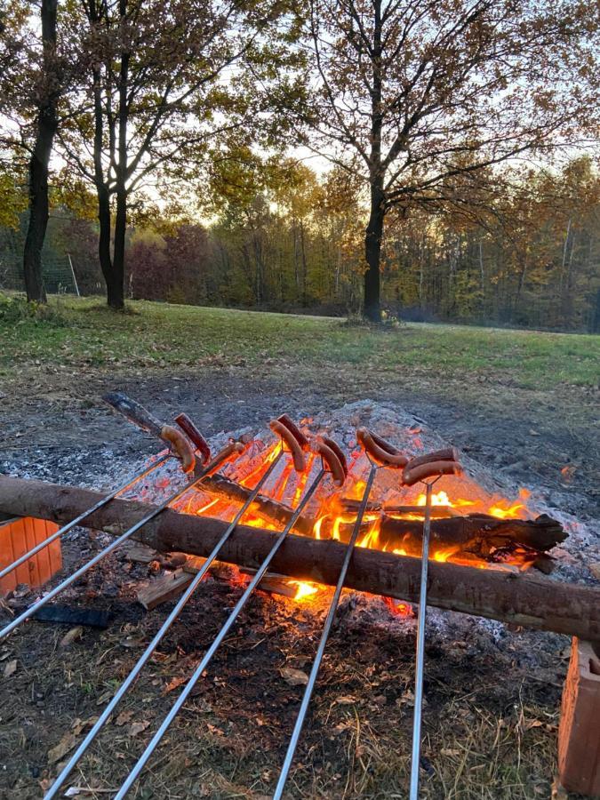Szmaragdowy Domek Nowy Wisnicz Eksteriør bilde